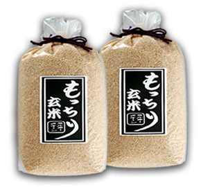 もっちり玄米　10kg（5kg×2袋）