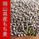 【送料無料】【値下げ】岡山県産　もち麦　ダイシモチ　1kg【TV　人気　話題　注文殺到】【もち麦　国産　送料無料　雑穀　麦 もちむぎ まとめ買い 香川 四国　紫... ランキングお取り寄せ