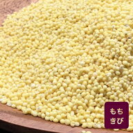 国産　もちきび　1kg【きび　キビ　国産　人気　話題　注文殺到　雑穀　まとめ買い　混ぜるだけ】
