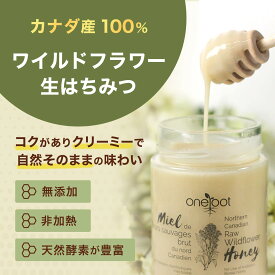 【OneRoot】カナダ産 ワイルドフラワー生はちみつ 500g / 1kg / 3kg | 非加熱 無添加 シングルソース ハニー シロップ ソース クリーム