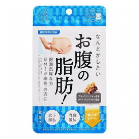 なんとかしたい お腹の脂肪 28粒 (機能性表示食品) 【ダイエット、お腹、肥満気味、MBI、脂肪を減らす】