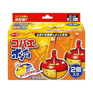 RoGzCzC 2RyRoG E VEWEoG Q 쏜 쏜 Lb`z