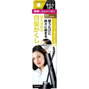�y���邢���C�g�u���E���z�J���[�I�����^�b�` ����������EX 15ml �T�����h�v��(SALON de PRO) �_����(DARIYA) �A�[�`�^�u���V �������� �����p