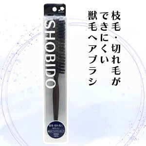 ϔbSHOBIDO bу[uVO VR } ؂ Ȃɂ { zR RV  ~` ₷