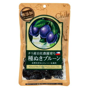 ؖ앨Y `Y v[ 250g 픲 hCt[c ʕ