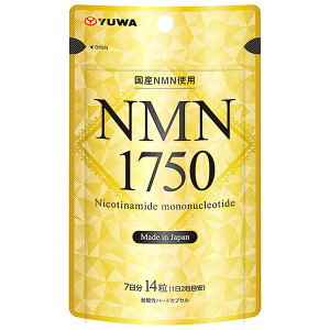 NMN 1750 (14��) �T�v�������g ���N