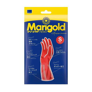 }[S[h nslX S 1o pi   | | 