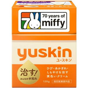 yw򕔊Oiz[XL T[rXpbN2025 120g{12ml [XL Ђ  ₯