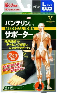 y򕔊OizoeR[T|[^[ p 傫