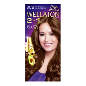 EGg[ c[vX ( 2+1 ) N[ 8CB N[^Cv Ȕ [b`ɐFÂ P