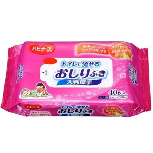sW nri[X gCɗ邨ӂ 唻 40 pi Kӂ ĝăV[g EFbgeBbV r