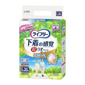 Ct[ ̊o pc 4z L20 ̊oł͂鎆pc@SʒʋCV[g ɂ炳