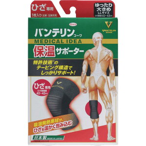 oeR[ ۉT|[^[ Ђp 傫 LLTCY(1) Ep Gp