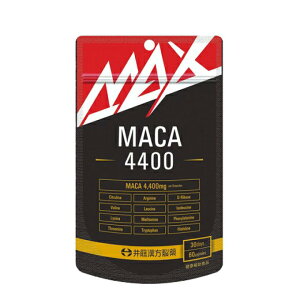 MAX}J4400 60Tvg NHi 䓡