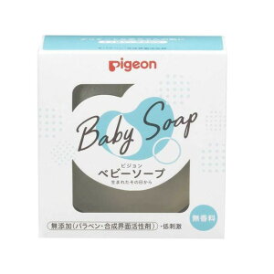 sW Pigeon xr[\[v 90g xr[ Sgp Ό ΂  xr[ xr[Ό A A\[v AΌ xr[{fB\[v ێ XLPA {fBPA ԂOb