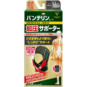 oeR[ T|[^[ Ђp Œ^Cv ubN 傫 LLTCYLL oe Ђp T|[^[ u}