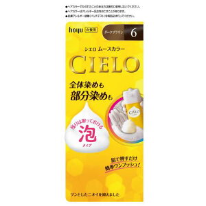�y��򕔊O�i�z�z�[���[ �V�G�� ���[�X�J���[ 6 ( �_�[�N�u���E�� ) hoyu CIELO �w�A�P�A �w�A�J���[ �J���[�����O �������� �S�̐��ߗp