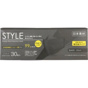 STYLE}XN ubN ӂTCY (30) \ tB^[ 4w\ OGɂ 3D݌v