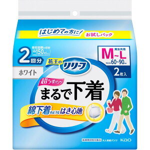 ԉ [tpc^Cv܂ŉM 2 lpނ Ic jp p R L jIC L