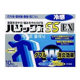 【第3類医薬品】ハリックス55 EX 冷感 10枚入 肩こり 腰痛 筋肉痛 冷感シップ 冷湿布