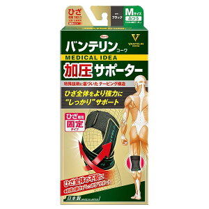 a oeR[ T|[^[ Ђp ubN Ђ T|[g