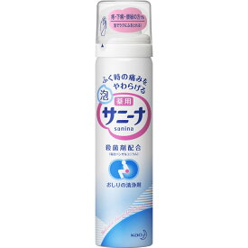 【医薬部外品】薬用 泡サニーナ(70g) 洗浄 消毒用品 清拭剤 清拭剤