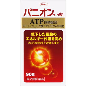 【第2類医薬品】パニオンコーワ錠(90錠) パニオン 血流改善 エネルギー代謝 保健薬 ビタミン剤