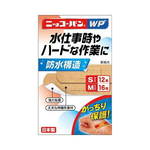jbR[oWP S^M No.510(28) Jnp Op@C{@^R@EIj