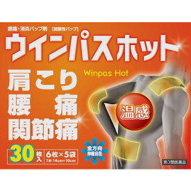 【第3類医薬品】ウインパスホット 30枚入 × 20個 鎮痛 消炎 痛み