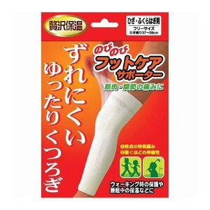 ̂т̂уtbgPAT|[^[ ЂEӂ͂p t[TCY Ep