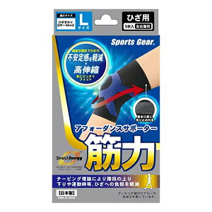 X|[cMA AtH[_XT|[^[ؗ Ђp LTCY jp