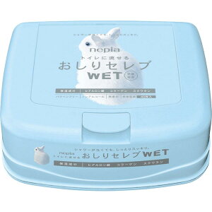 lsA gCɗ邨Zu WET {  40 mAR[ pxt[ ێz