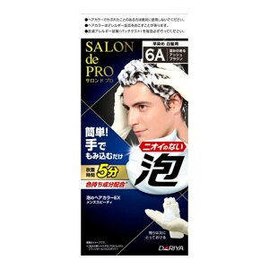 【医薬部外品】ダリヤ サロンドプロ 泡のヘアカラーEX メンズスピーディ 白髪用 6A 深みのあるアッシュブラウン (1セット) 男性用 白髪染め