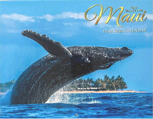 nC J_[ 2026N y}ECzʌynCAG݁zynC J_[ziEi nC J_[ ꂢ  bsOs̏iƂȂ܂