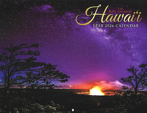 nC J_[ 2026NyBigIslandnCzʌynCAG݁zynC J_[ziEinC J_[ ꂢ  bsOs̏iƂȂ܂