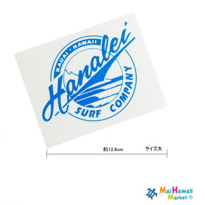 nC@JEAC@niCT[tXebJ[@AHANALEI SURF Eh^Cv(F)ynCAG݁zynCG݁zT[t{[h@Xm[{[hXebJ[