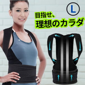 zLwxg LTCY T|[^[ ^ jp 傫TCYΉ ʋCQ  ʊwʋ Ɨp p ŃRZbg K