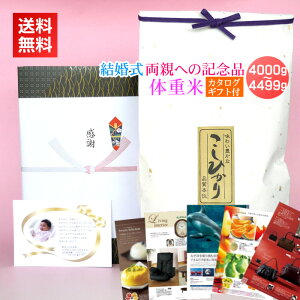  eւ̋LOi ̏dā{J^OMtgZbg[4000-4499g]^V  uC_  I e v[g ȍd J^OMtg J^O EGCgCX EGCg 