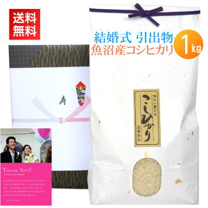 EVā̈oɓ싛YRVqJÿoEYRVqJ1kgz