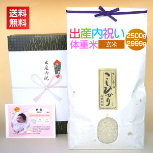 oYj ̏d [2500-2999g]^V  oYj   ȍd EGCgCX oY j Ԃ ʐ^ bZ[WJ[h J[ht  Mtg V R