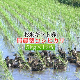 【お米ギフト券】農薬無使用米コシヒカリ 5kg×12セット[送料無料]目録/引換券/景品/二次会/ゴルフ/内祝い/お祝い/快気祝い/引越し祝い/香典返し/のし対応