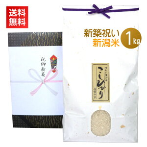 EVāVzj̃v[gɍō̐VăRVqJIyVzj 1kgz