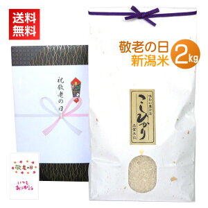 hV̓ v[g Mtg  2kg^ V RVqJ VRVqJ J[ht ̂    ΂  2L lC