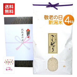 hV̓ v[g Mtg  4kg^ V RVqJ VRVqJ J[ht ̂    ΂  4L lC