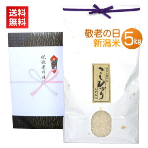 hV̓ v[g Mtg  5kg^ V RVqJ VRVqJ J[ht ̂    ΂  5L lC