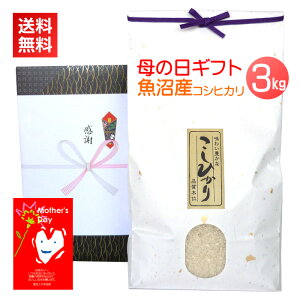 ��̓� �v���[���g �����Y�R�V�q�J�� 3kg�^2026 �x��Ă��߂�� �������� ���ꂳ�� �� 3�L�� ���� ������ ���b�Z�[�W�J�[�h �J�[�h�t �M�t�g �V���� �V�� �R�V�q�J�� �O���� ��� �T�v���C�Y ��