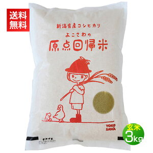 JAS有機米 新潟コシヒカリ 玄米 3kg(原点回帰米 農薬不使用 有機栽培 有機米 JAS認証 オーガニック 3キロ)【代引不可】<送料無料・新米>