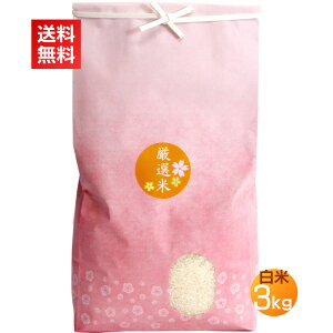 VY Ԃ   3kg ߘa7NY Vā^  3L V  V V  ɂ ٓ 