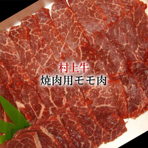 ���㋍ �ē��p �������^���� �ē� �Ă����p ���� A4-B4�ȏ� �a�� ���јa�� �V�� �ɂ������a�� ���� ��������