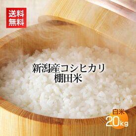 これぞ新潟米！リピーター続出！【新潟産コシヒカリ 白米・精米 20kg(10kg×2袋)】＜あす楽・送料無料＞